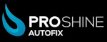 Pro Shine Autofix 